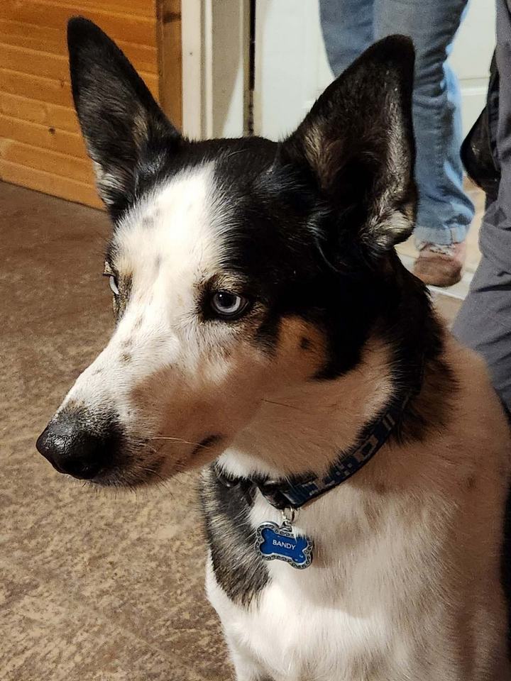 Churchill Manitoba Oct 2023 07